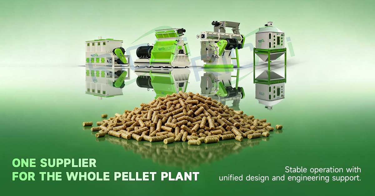 cattle feed pellet machine and auxiliary equipment